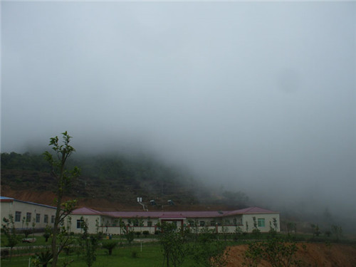 茶場基地