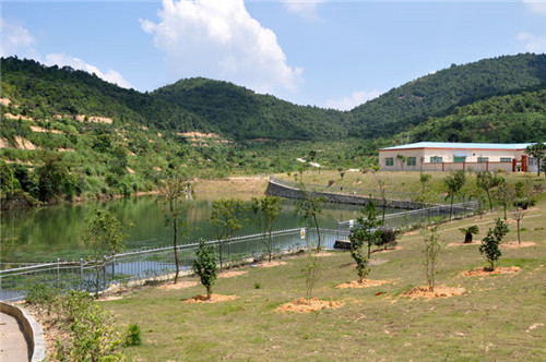 茶場基地