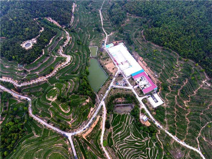 茶場基地